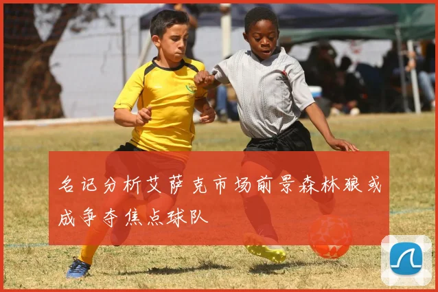 名记分析艾萨克市场前景森林狼或成争夺焦点球队